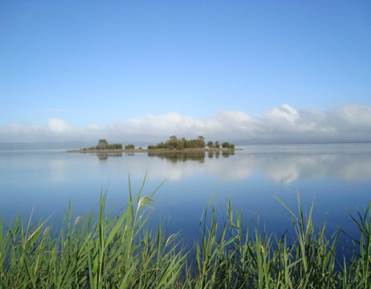 veelgestelde vragen